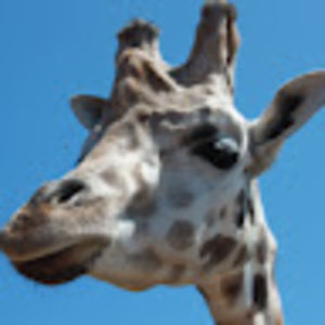 Meet your Posher, Beth ann